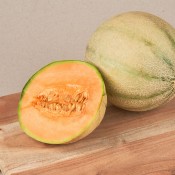 MELO CANTALUP KG