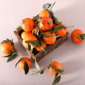 MANDARINA PRIMERA KG