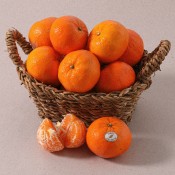 MANDARINA EXTRA KG