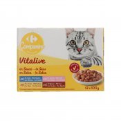 CARREFOUR TROZOS SALSA CARNE 100G