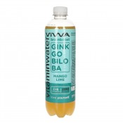 VIWA VITAMINWATER BRAINBOOST 600ML