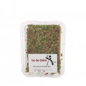 B.DE DEBO PESOLS SALTEJATS