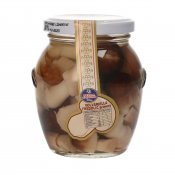 VILLA CAMPO BOLETS FREDOLIC T314