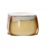 PASTORET GOURMET CREMA CATALANA 150G
