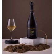 MASTINELL CARPE DIEM RESERVA 75CL